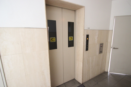 ラフィーネパレ