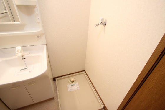 エクセレンテグリシーナⅡ