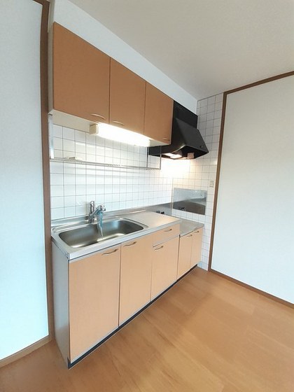 エクセレンテグリシーナⅡ