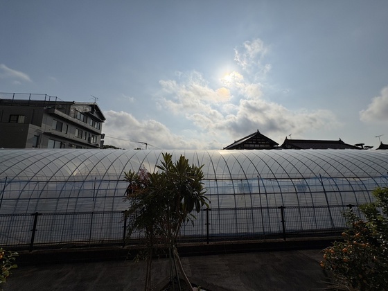 コートレジデンス