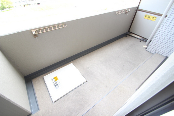 ダイアパレス中須