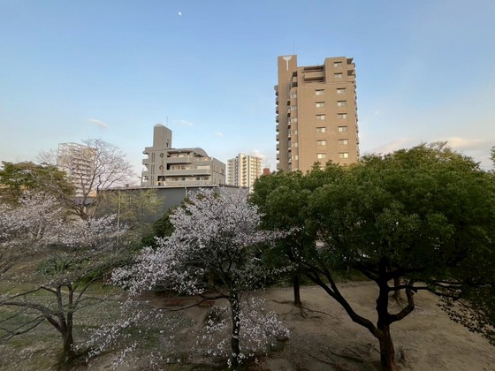 エルサンク浜岡