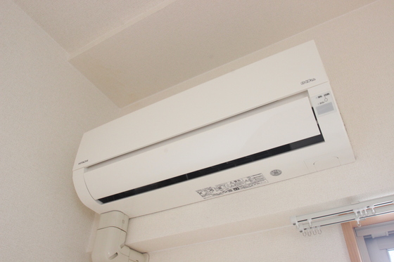 ワンダフルパレスNI