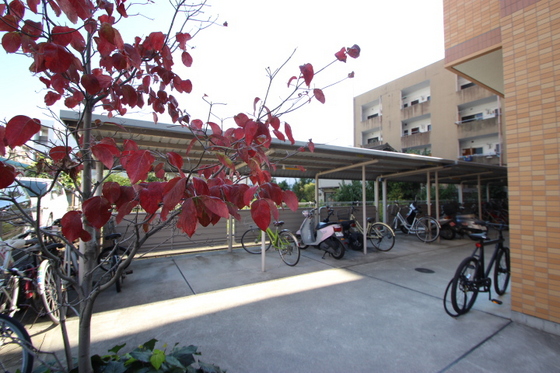 ワンダフルパレスNI