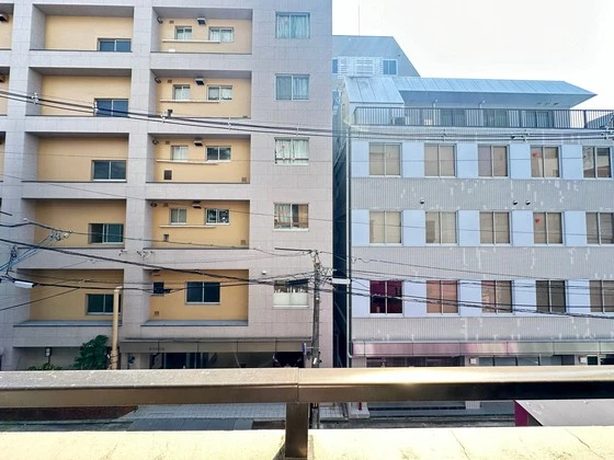 ハイレックスⅡ