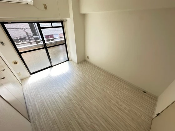 ハイレックスⅡ