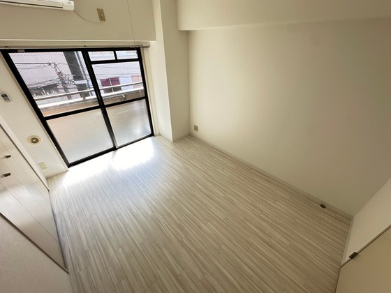 ハイレックスⅡ