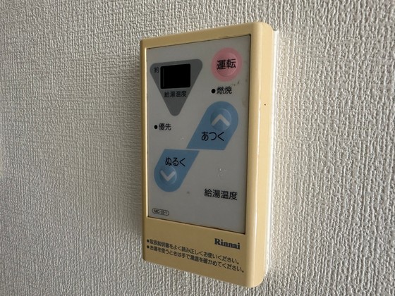 ハイレックスⅡ