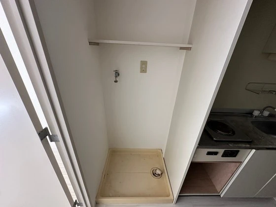 ハイレックスⅡ