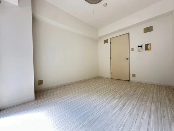 ハイレックスⅡ