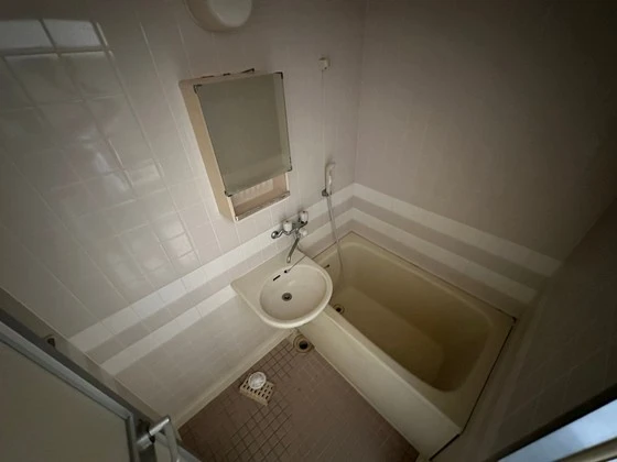 ハイレックスⅡ