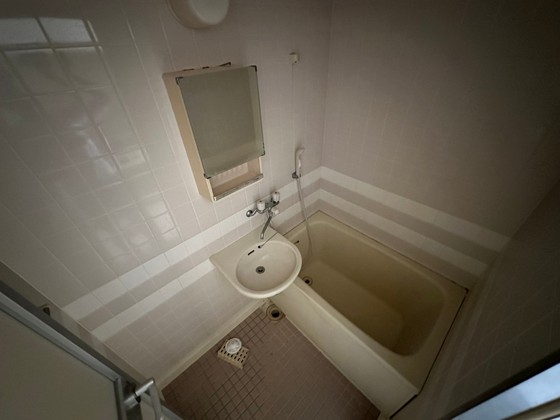 ハイレックスⅡ