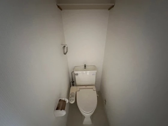 ハイレックスⅡ