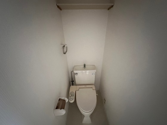 ハイレックスⅡ