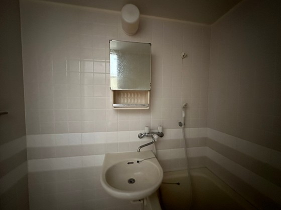 ハイレックスⅡ