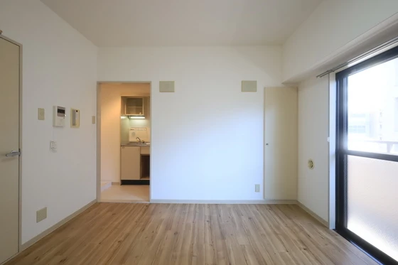 ハイレックスⅡ