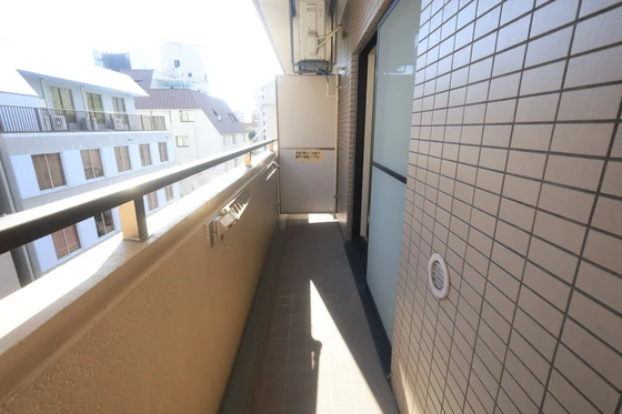 ハイレックスⅡ