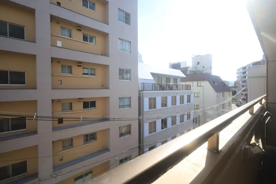 ハイレックスⅡ