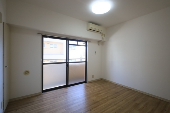 ハイレックスⅡ