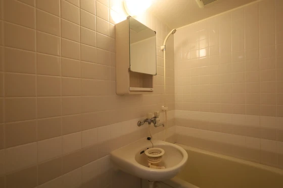 ハイレックスⅡ