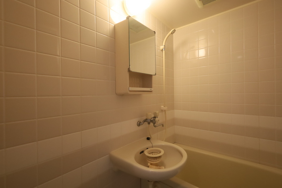 ハイレックスⅡ