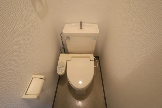 ハイレックスⅡ