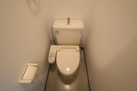 ハイレックスⅡ