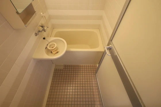 ハイレックスⅡ