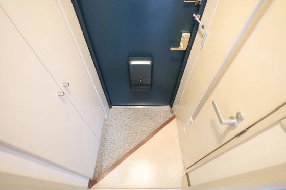 ハイレックスⅡ