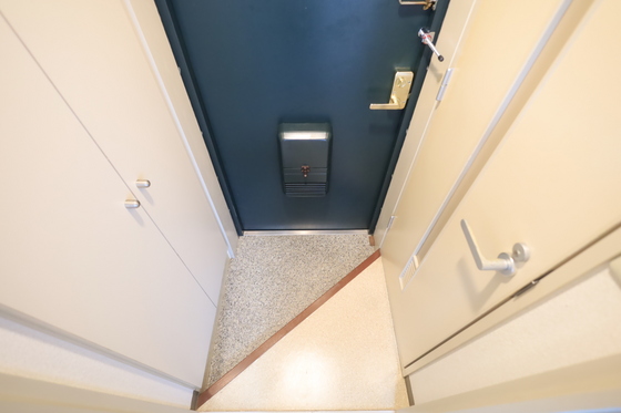 ハイレックスⅡ