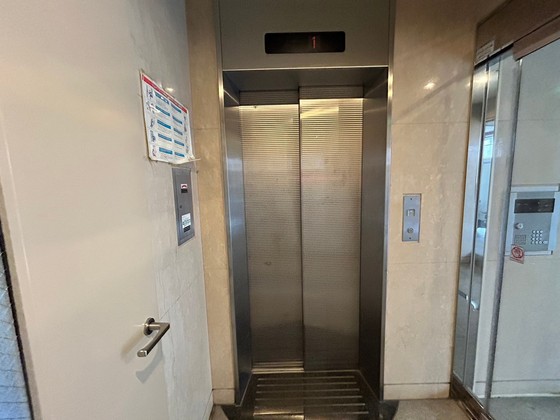 ハイレックスⅡ