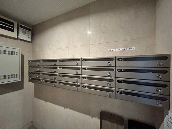 ハイレックスⅡ