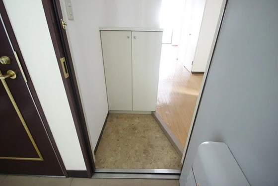 サヴァーヴィルラ