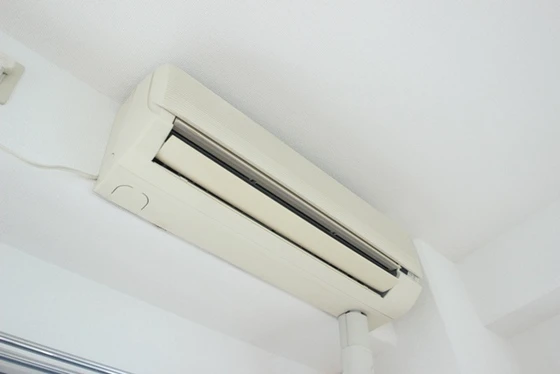 サヴァーヴィルラ