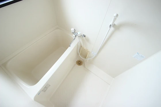 サヴァーヴィルラ