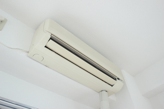 サヴァーヴィルラ