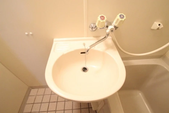 ヴェルソーヤスダ