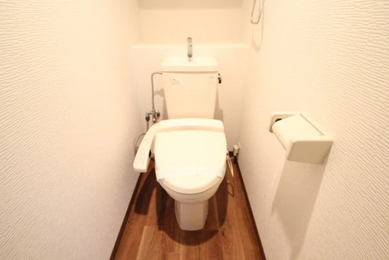 ヴェルソーヤスダ