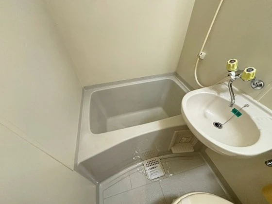 ヴェルソーヤスダ