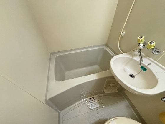 ヴェルソーヤスダ