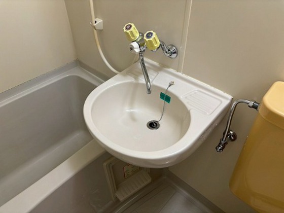 ヴェルソーヤスダ