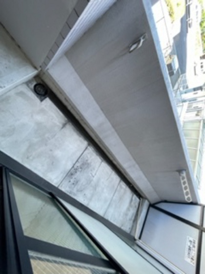 フリージアコート