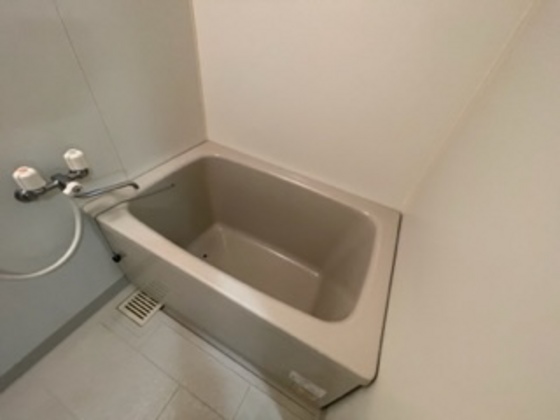 フリージアコート