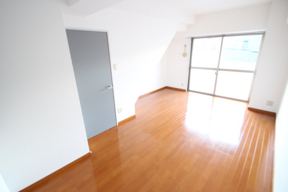 サンシャイン猫田