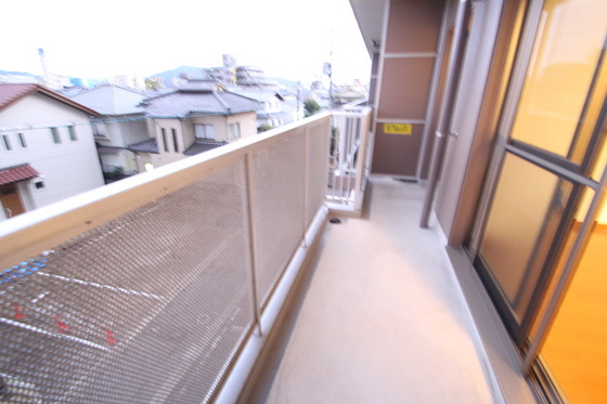 サンシャイン猫田