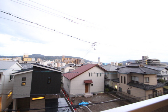 サンシャイン猫田