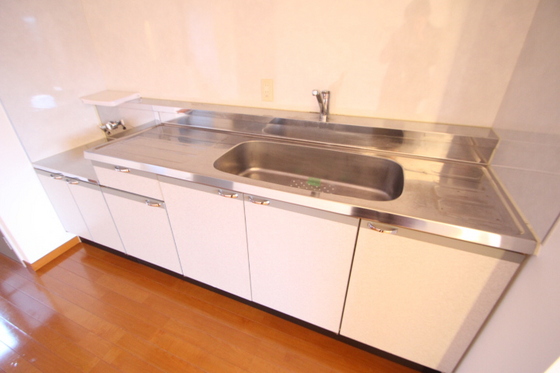 サンシャイン猫田