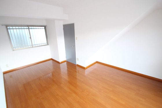 サンシャイン猫田