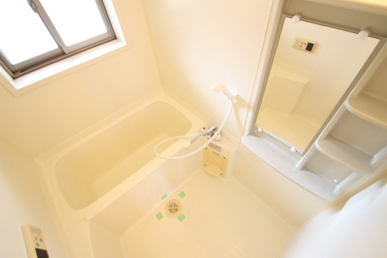 サンシャイン猫田