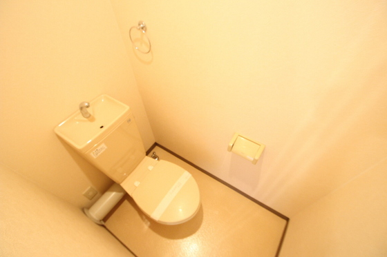 サンシャイン猫田